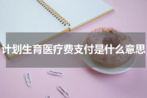 计划生育医疗费支付是什么意思