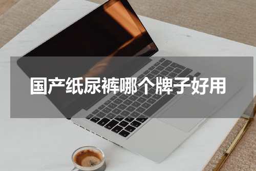 国产纸尿裤哪个牌子好用