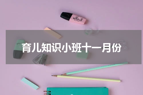 育儿知识小班十一月份