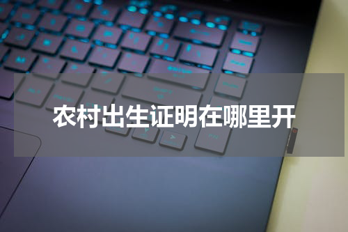 农村出生证明在哪里开