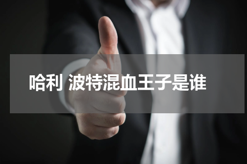 哈利 波特混血王子是谁