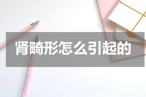 肾畸形怎么引起的