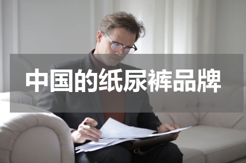 中国的纸尿裤品牌