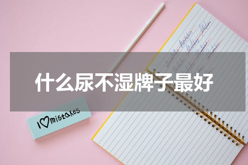 什么尿不湿牌子最好