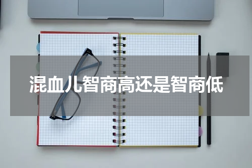 混血儿智商高还是智商低