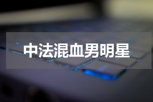 中法混血男明星