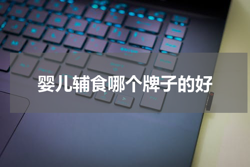 婴儿辅食哪个牌子的好