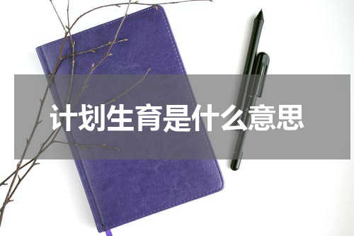 计划生育是什么意思