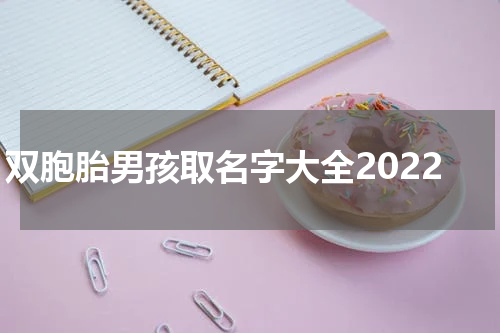双胞胎男孩取名字大全2022