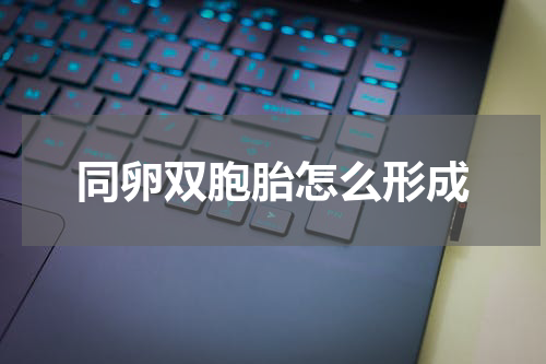 同卵双胞胎怎么形成