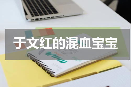 于文红的混血宝宝