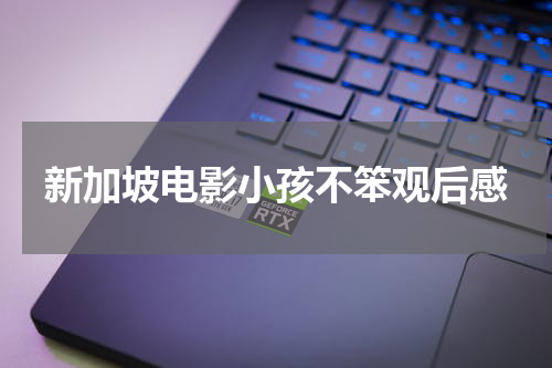 新加坡电影小孩不笨观后感