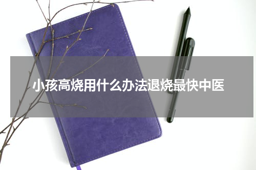 小孩高烧用什么办法退烧最快中医