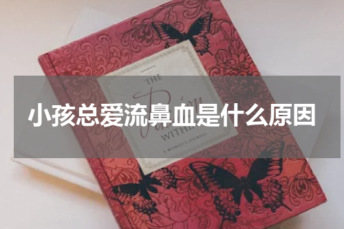 小孩总爱流鼻血是什么原因