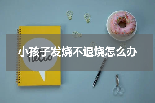 小孩子发烧不退烧怎么办
