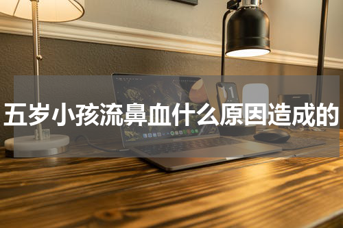 五岁小孩流鼻血什么原因造成的
