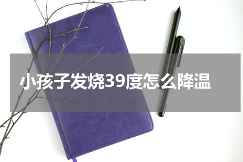 小孩子发烧39度怎么降温