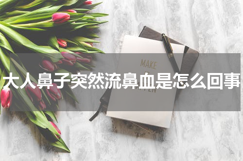 大人鼻子突然流鼻血是怎么回事