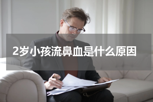2岁小孩流鼻血是什么原因