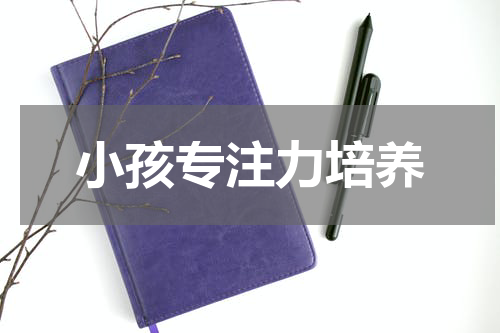 小孩专注力培养