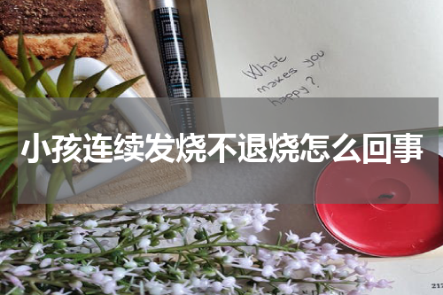小孩连续发烧不退烧怎么回事