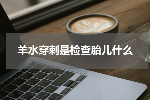 羊水穿刺是检查胎儿什么
