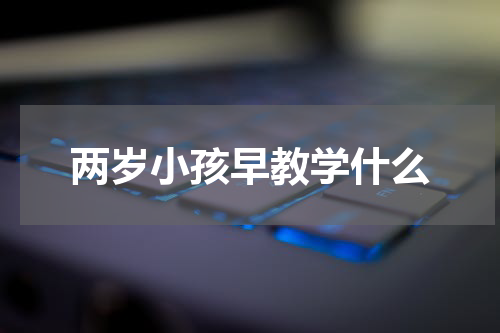 两岁小孩早教学什么