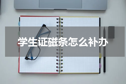 学生证磁条怎么补办