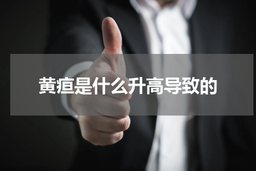 黄疸是什么升高导致的