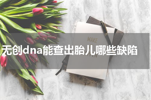 无创dna能查出胎儿哪些缺陷