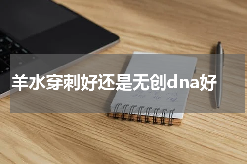 羊水穿刺好还是无创dna好