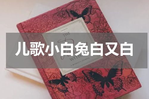 儿歌小白兔白又白