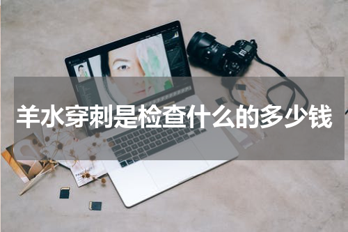 羊水穿刺是检查什么的多少钱