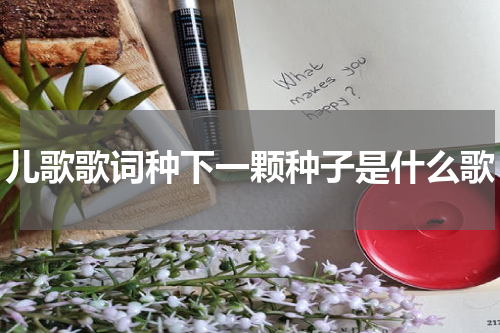 儿歌歌词种下一颗种子是什么歌