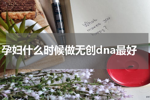孕妇什么时候做无创dna最好