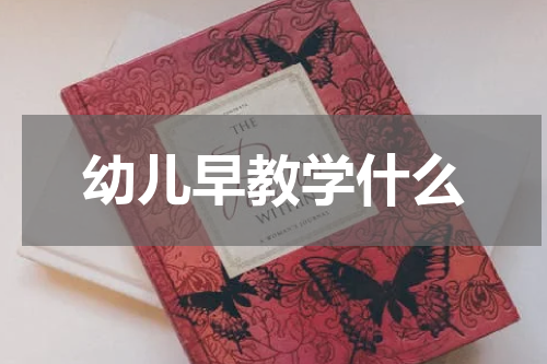 幼儿早教学什么