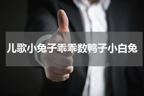 儿歌小兔子乖乖数鸭子小白兔