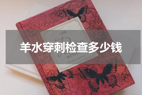 羊水穿刺检查多少钱