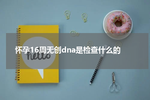 怀孕16周无创dna是检查什么的