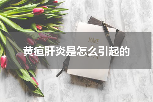 黄疸肝炎是怎么引起的