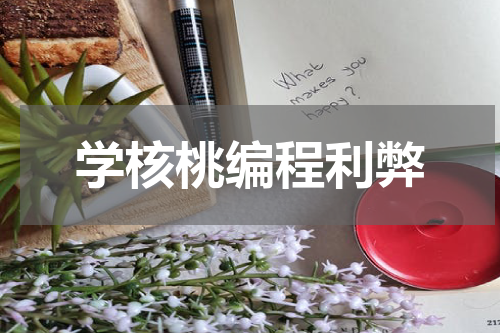 学核桃编程利弊