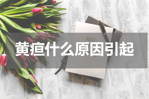 黄疸什么原因引起