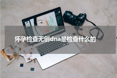 怀孕检查无创dna是检查什么的
