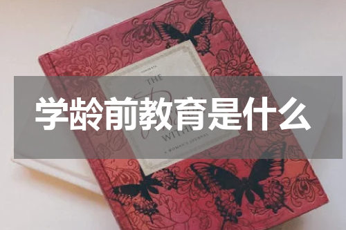 学龄前教育是什么