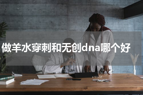 做羊水穿刺和无创dna哪个好
