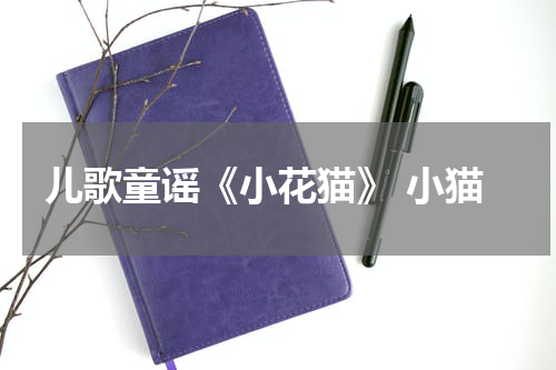 儿歌童谣《小花猫》 小猫