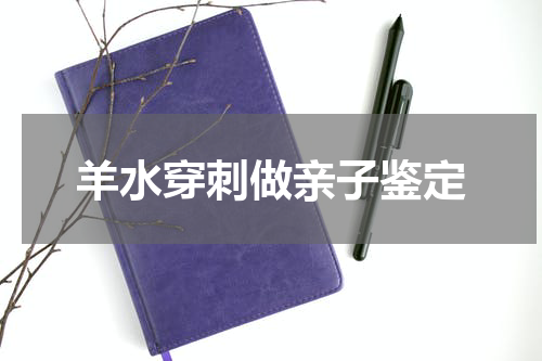 羊水穿刺做亲子鉴定