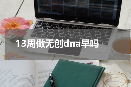 13周做无创dna早吗