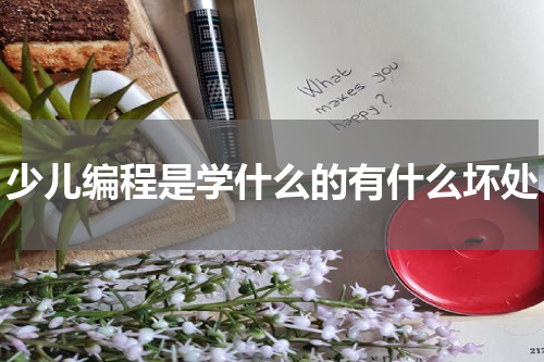 少儿编程是学什么的有什么坏处
