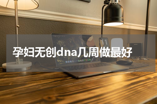 孕妇无创dna几周做最好
